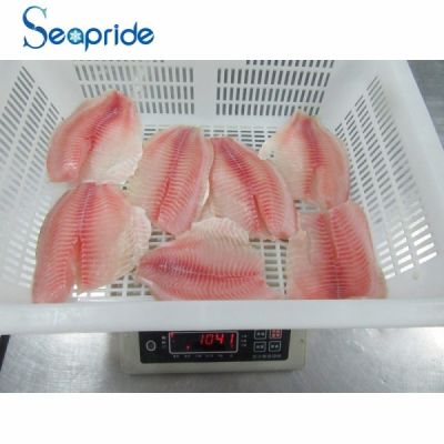 Frozen tilapia fillet