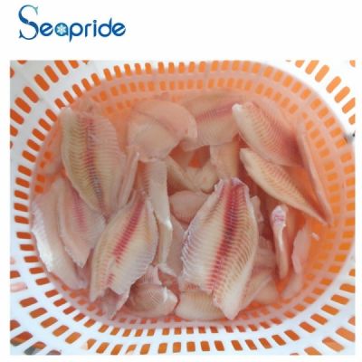 Tilapia fillet for sale