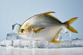 Pomfret