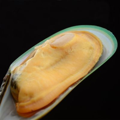 Mussel