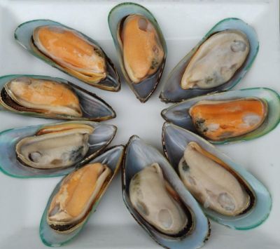 Mussel Meat