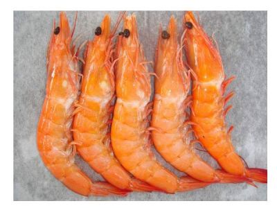 Cooked Shrimp