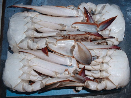 Cut Crab